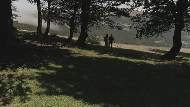 walking in the woods