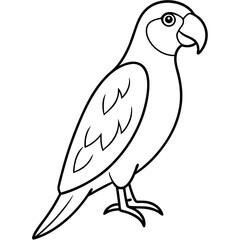 Elegant Parrot One-Line Illustration