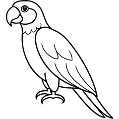 Elegant Parrot One-Line Illustration