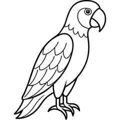 Elegant Parrot One-Line Illustration