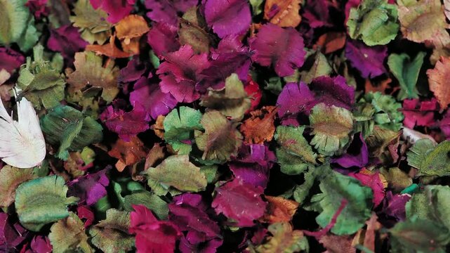 Aromatic herbs and spices absorb moisture and eliminate odors in the bag from nature.