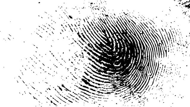 Abstract fingerprint design with a grunge texture, Vector white and black fingerprint texture. Black fingerprint on white Transparent background.	