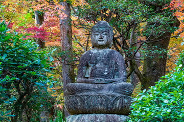 Obraz premium Traditioneller japanischer Garten in Herbst, Japan 
