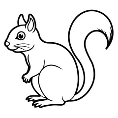 Elegant Squirrel Line Drawing Vector