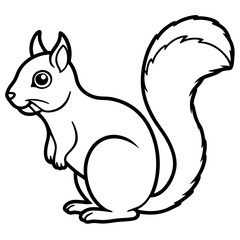 Elegant Squirrel Line Drawing Vector