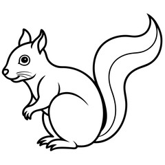 Elegant Squirrel Line Drawing Vector