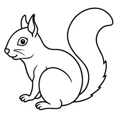 Elegant Squirrel Line Drawing Vector