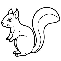 Elegant Squirrel Line Drawing Vector