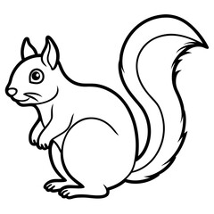 Elegant Squirrel Line Drawing Vector