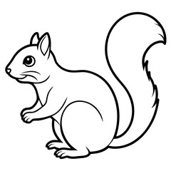 Elegant Squirrel Line Drawing Vector
