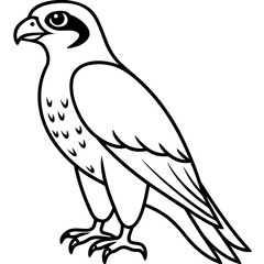 Falcon in a Single Line