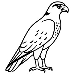 Falcon in a Single Line