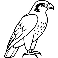 Falcon in a Single Line