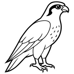 Falcon in a Single Line