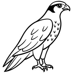 Falcon in a Single Line