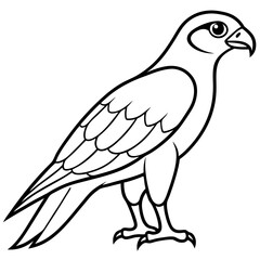 Falcon in a Single Line