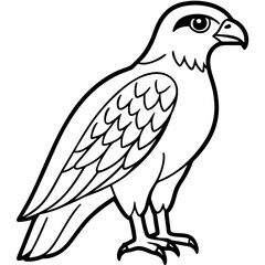 Falcon in a Single Line