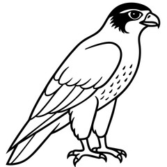 Falcon in a Single Line