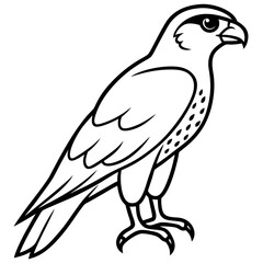 Falcon in a Single Line