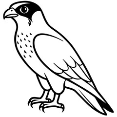 Falcon in a Single Line