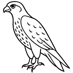 Falcon in a Single Line