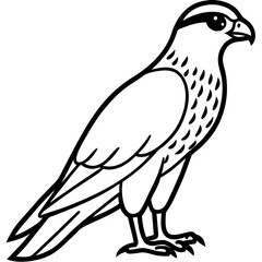 Falcon in a Single Line