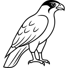 Falcon in a Single Line