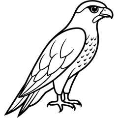 Falcon in a Single Line