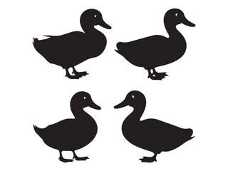 vector silhouettes of ducks