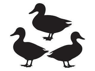 vector silhouettes of ducks