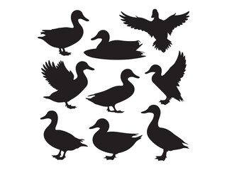 vector silhouettes of ducks