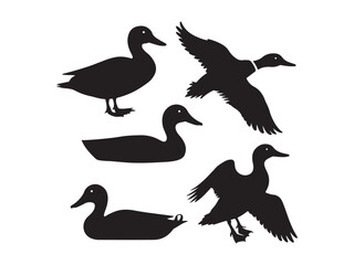Obraz premium vector silhouettes of ducks