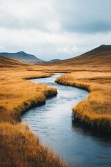 Fototapeta premium Dry Riverbed in Grass Field