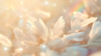 Radiant glow accentuating white feathers soft ethereal beauty serene calmness