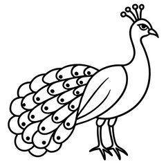 One-Line Peacock Sleek Vector Illustration