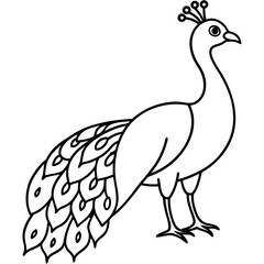 One-Line Peacock Sleek Vector Illustration