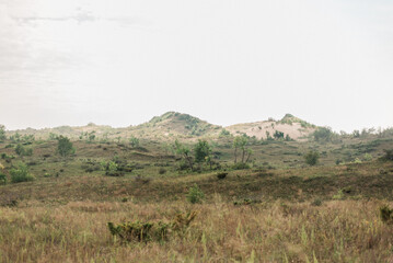Grassy Hills and Sand Dunes in Northern Michigan