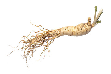 Ginseng Root on White Background, Herb and health care concept, Generative AI Illustration