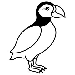 Puffin in a Single Stroke Vector