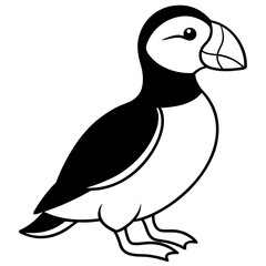 Puffin in a Single Stroke Vector
