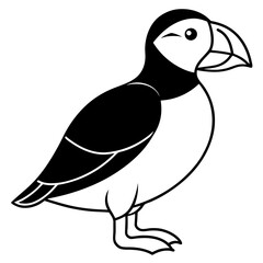 Puffin in a Single Stroke Vector