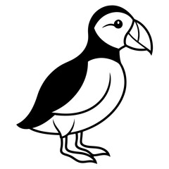 Puffin in a Single Stroke Vector