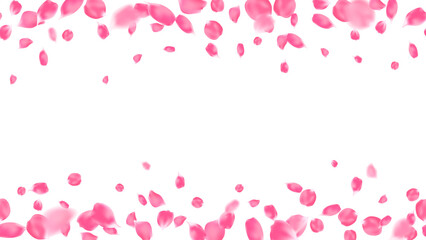 Rose petals realistic pink color, horizontal seamless frame banner. Romantic greeting card vector