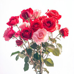 Beautiful bouquet of red and pink roses with green leaves, symbolizing love and affection. Perfect for celebrations or as gift to express emotions