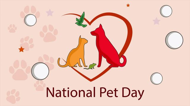 Cute Cartoon Cat, Dog, and Bird Animation for National Pet Day