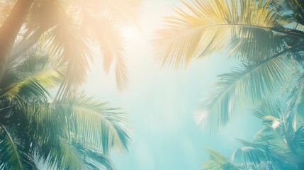Tropical Palm Trees Against a Blue Sky with Bright Sunlight