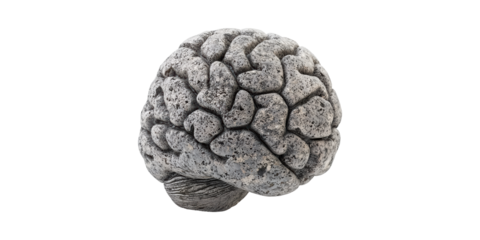 Stone sculpture of human brain with natural texture isolated on transparent background