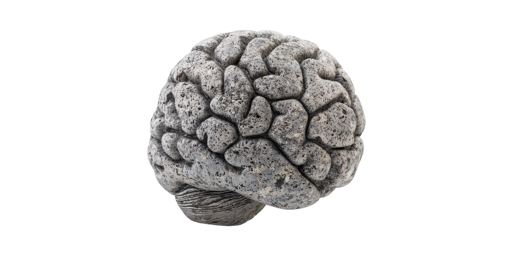 Stone sculpture of human brain with natural texture isolated on transparent background
