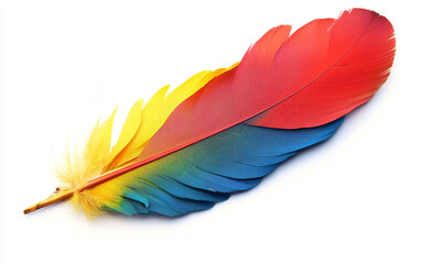 Exotic Parrot Feather Accessory for Rio Carnival Isolated On White background.