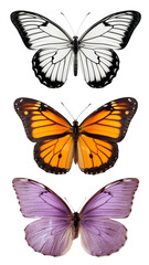 Obraz premium Butterfly animal png element set, transparent background